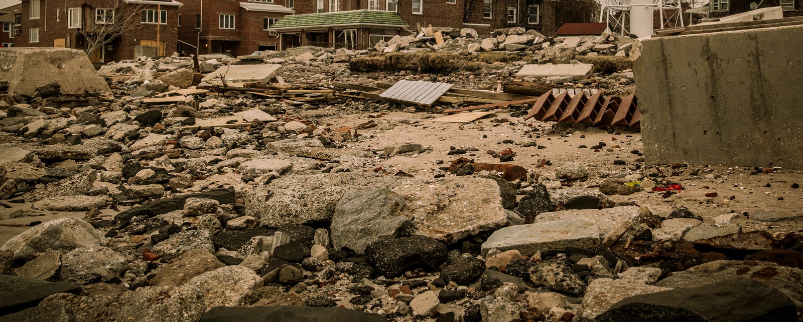 art-of-sandy-mo-seagate 2-25.jpg